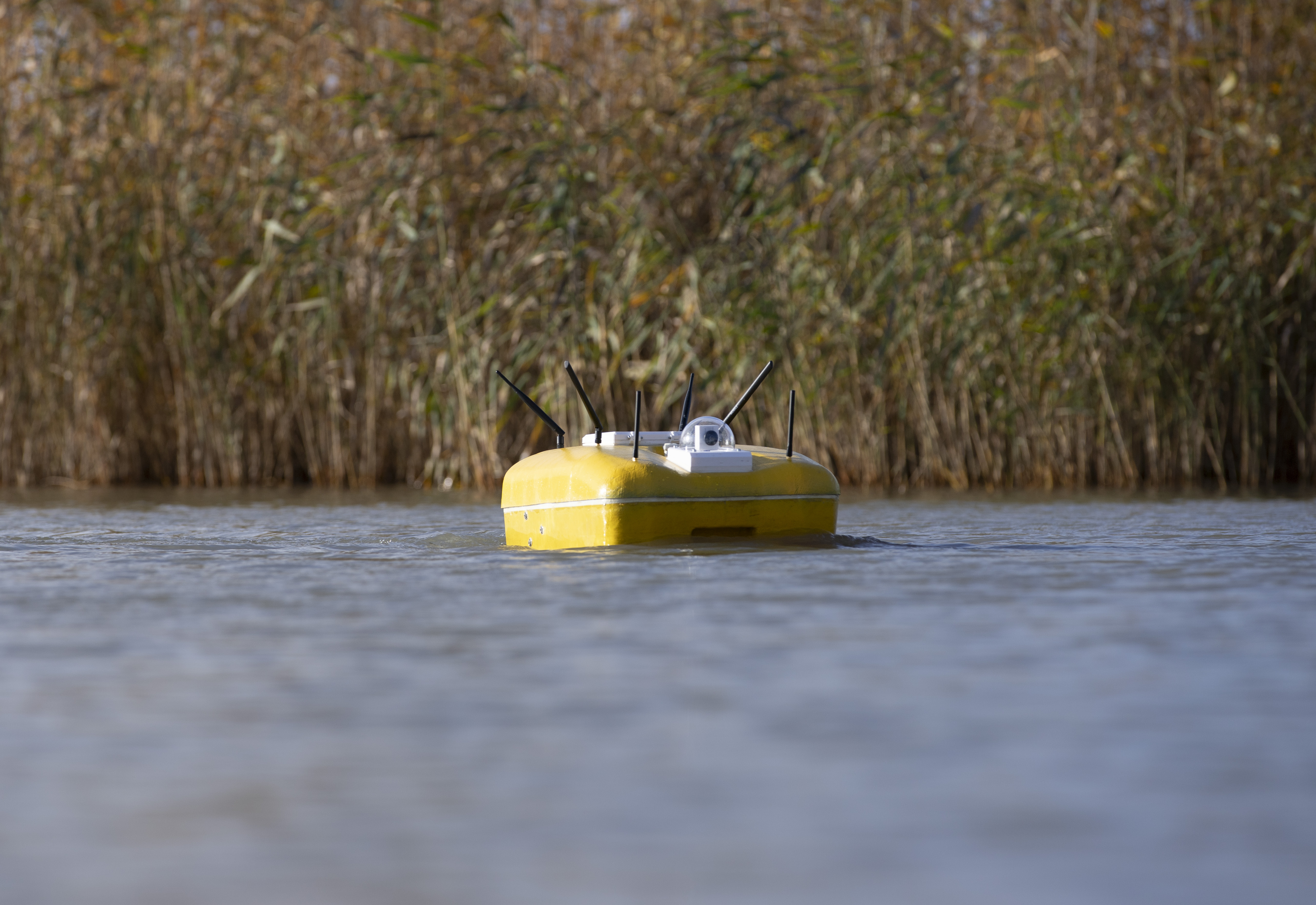 AqualityONE Operator deployed among reeds on the retention basin